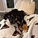 Waylon