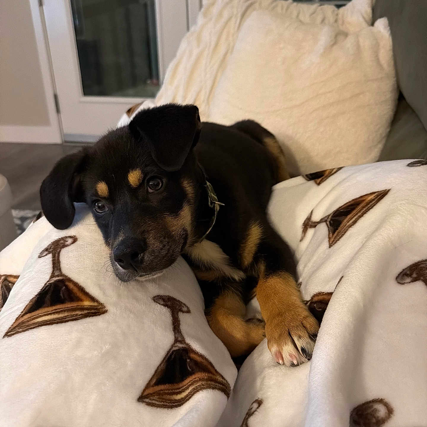 Waylon