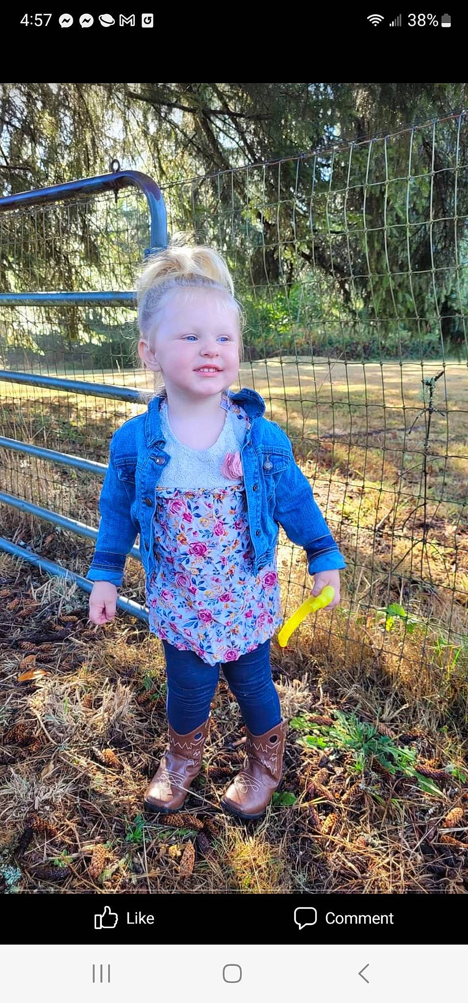 Nalani is registered to the contest to win money with this photo: baby_toddler_clothing, botany, child, electric_blue, eye, fence, fun, grass, grass_family, happy, leaf, nature, people_in_nature, person, plant, sleeve, smile, soil, toddler, tree