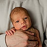 newborn, baby, hand, adult, knitted_clothing, closeup, portrait, skin, face, eyes, fingers, warmth, cozy, caring, tenderness, soft_lighting, indoor, person, sweater, holding
