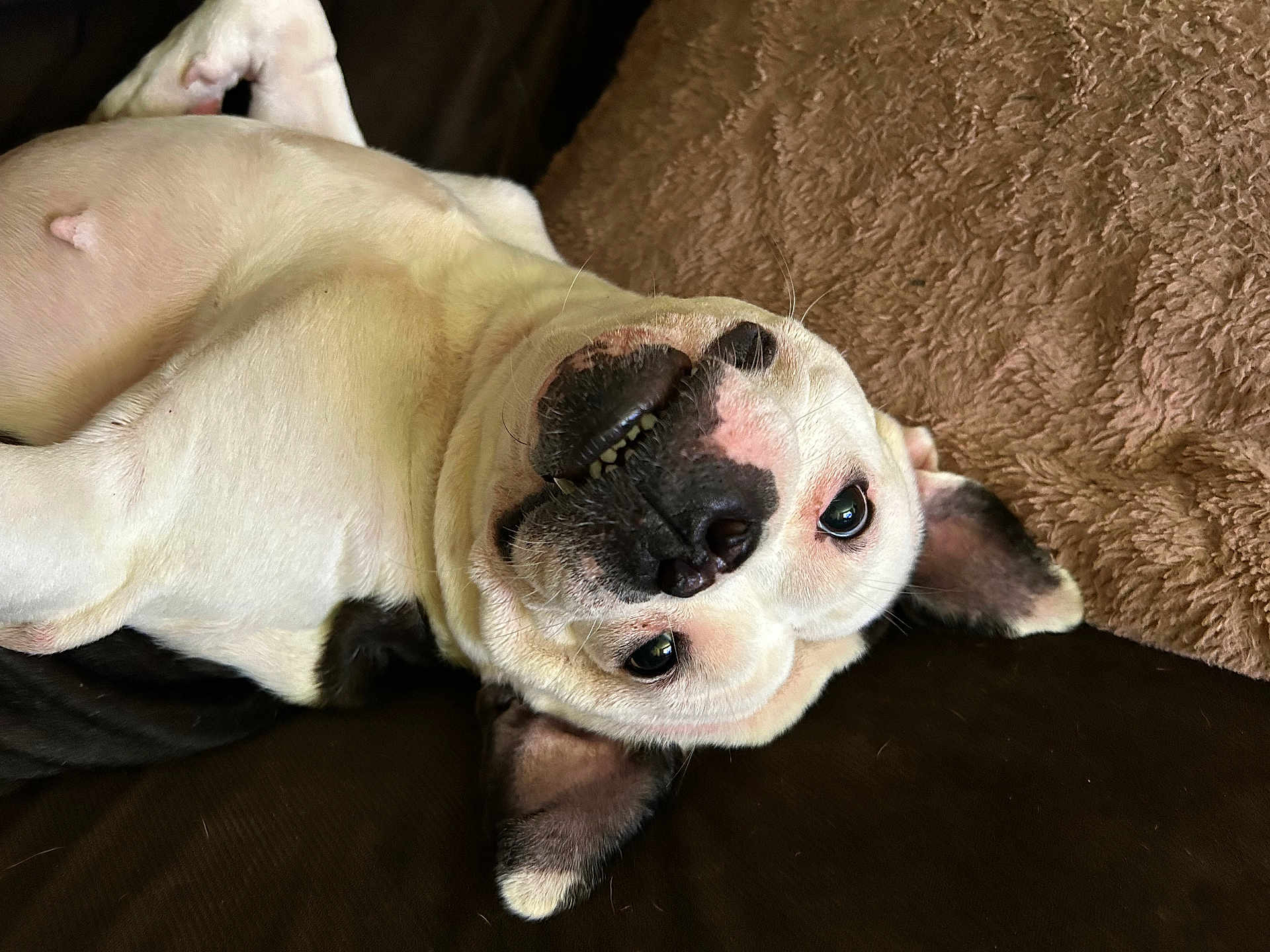 Lil Mama
