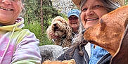 Nugget joined the competition — help win amazing prizes! animal, brown_dog, casual, curly_hair, dog, forest, golden_dog, gray_hair, group, happy, hat, hoodie, leash, nature, outdoor, people, pet, portrait, selfie, smiling