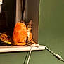 Tilly is registered to the contest to win money with this photo: cat, tabby, salt_lamp, windowsill, green_wall, curious, indoor, pet, relaxed, orange, lamp, cozy, playful, one_eye, feline, resting, cord, window, night, shadow