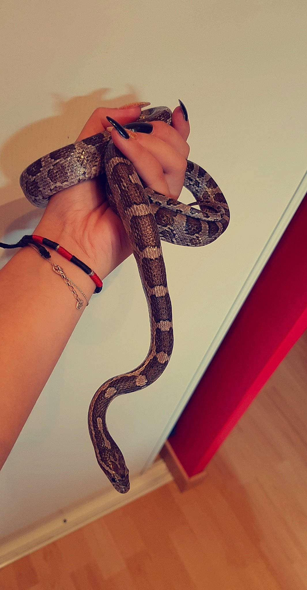 Deux Milles Dix Sept