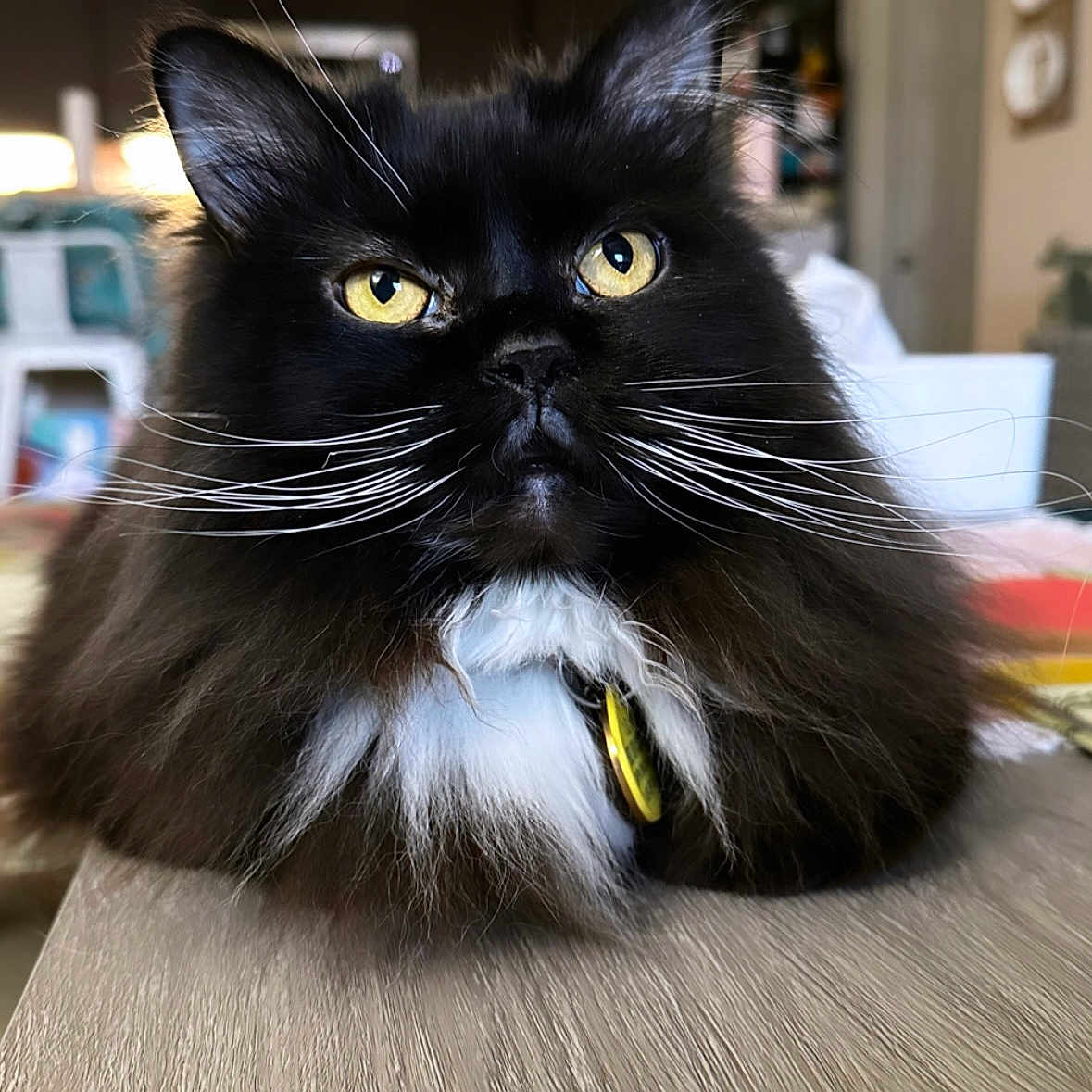 Binx