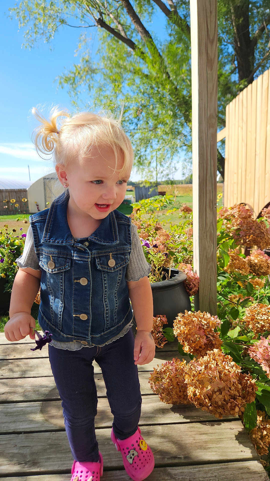Arya is registered to the contest to win money with this photo: toddler, child, blonde_hair, denim_vest, pink_crocs, flower, porch, wooden_floor, plants, hydrangeas, sunny, outdoor, greenery, blue_sky, curious, casual_clothing, daylight, nature, playful, earrings