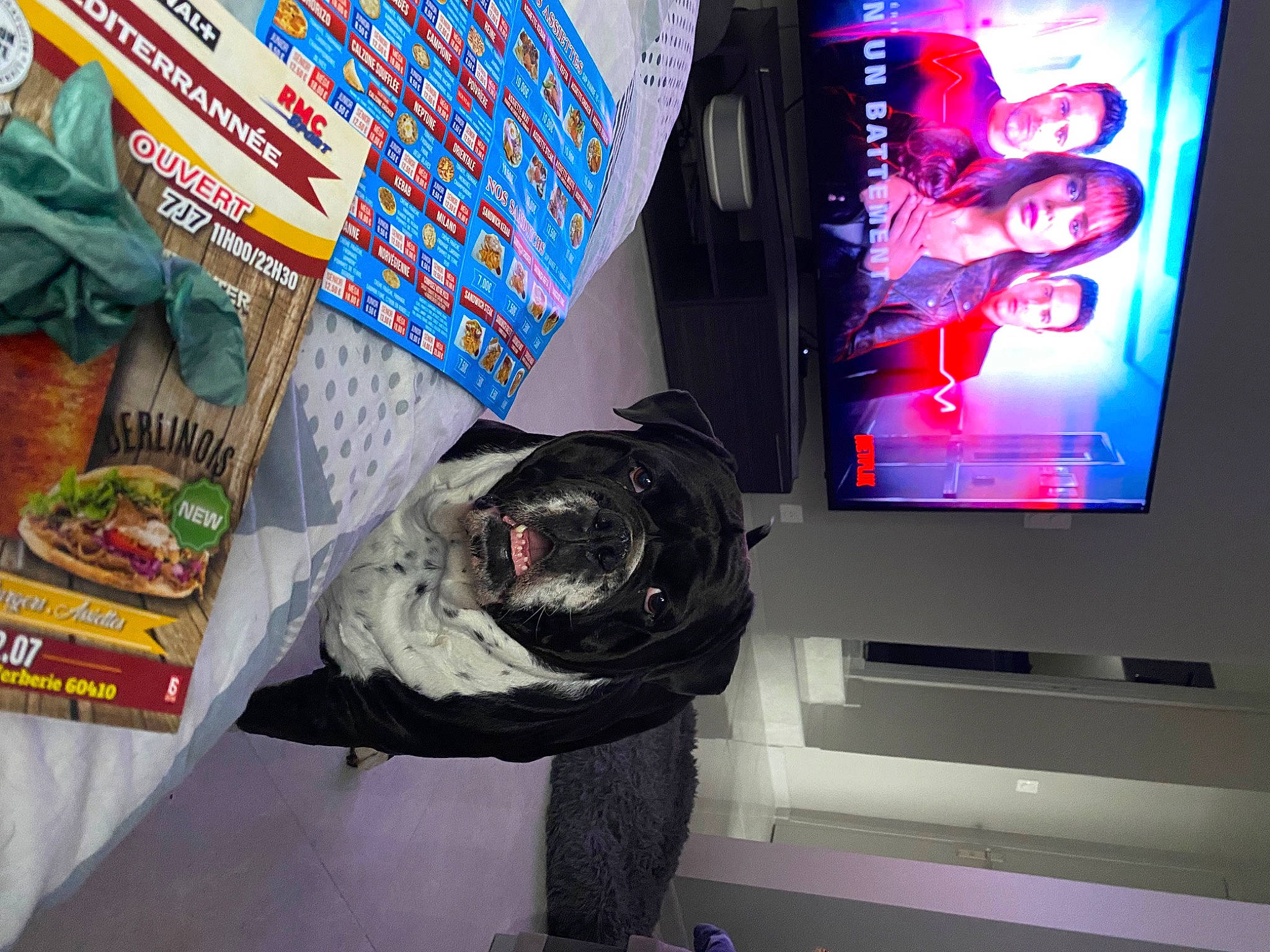 Duchesse a rejoint le concours — aidez-le/la à gagner de superbes lots ! advertising, automotive_design, display_device, flat_panel_display, font, gadget, graphic_design, graphics, led_backlit_lcd_display, machine, magenta, media, multimedia, output_device, publication, room, television, television_set, visual_arts