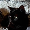 Catherine M.