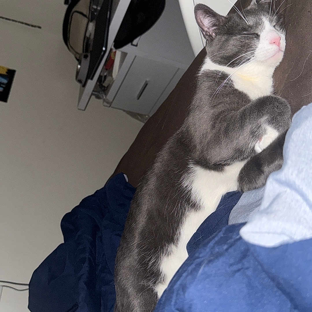 Max