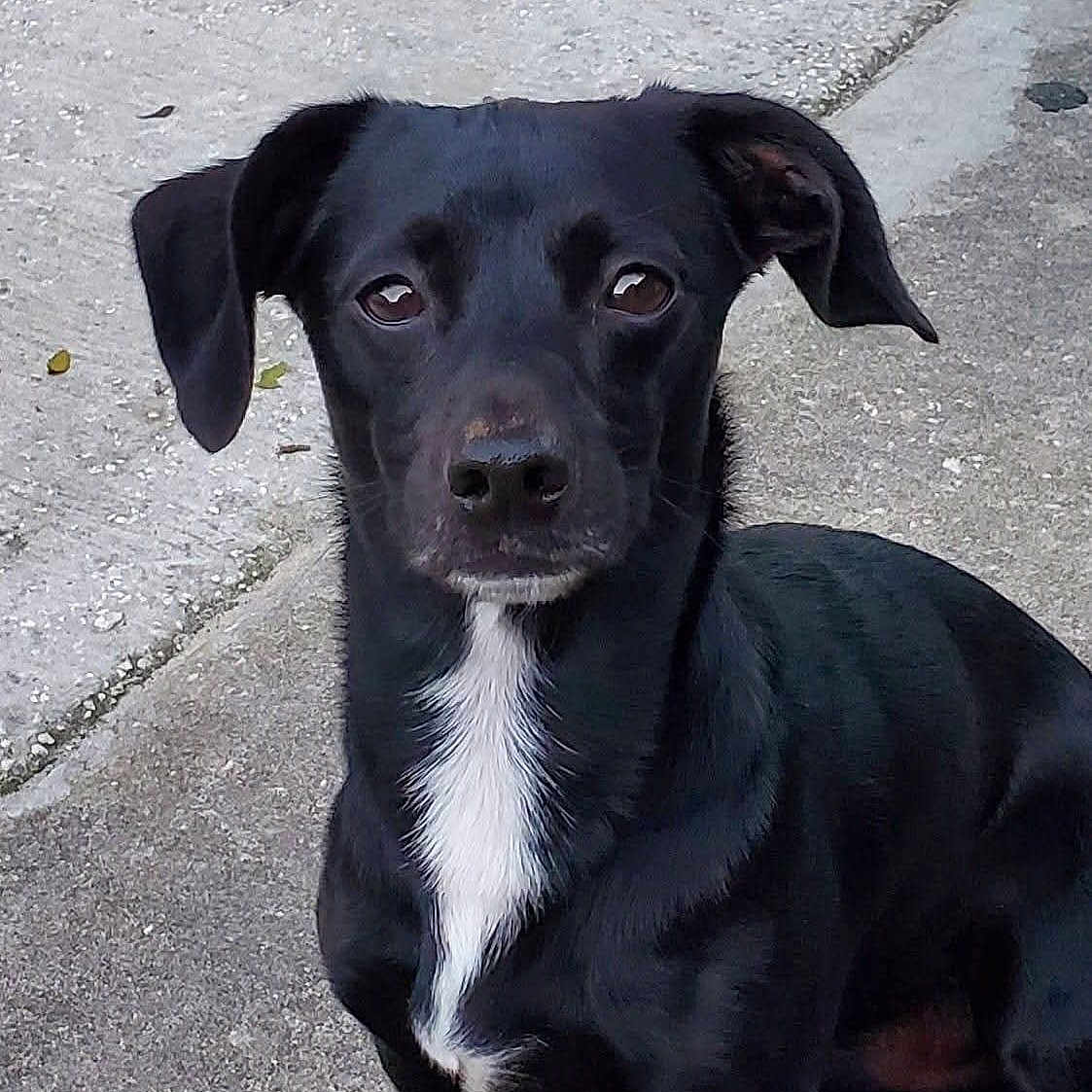 Zuko