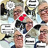 cat, black_and_white_cat, person, older_adult, glasses, portrait, selfie, collage, comic_style, speech_bubble, text_overlay, french_text, heart, kisses, indoors, window, curtain, close_up, pet, humor