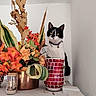 Loustic participe au concours pour gagner de l'argent avec cette photo : cat, tuxedo_cat, black_and_white, pet, animal, portrait, flowers, bouquet, plants, foliage, potted_plants, indoor, home_decor, flowerpot, mosaic_pot, shelf, white_background, collar, bell, alert