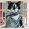Loustic a rejoint le concours — aidez-le/la à gagner de superbes lots ! cat, black_and_white, scarf, plaid, winter, wrapped, portrait, close_up, feline, whiskers, yellow_eyes, pink_nose, ears, fur, indoor, window, open_shutters, home, fashion, funny