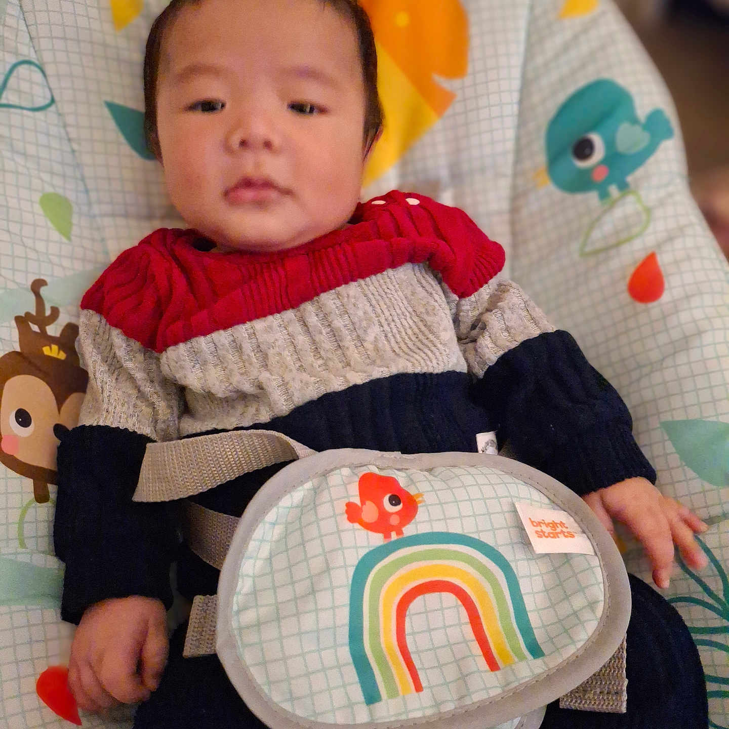 Kyiro joined the competition — help win amazing prizes! animal_print, baby, baby_seat, bird, child, colorful, comfort, cute, indoors, infant, knitwear, monkey, playful, portrait, rainbow, seated, soft_focus, strap, sweater, young_child