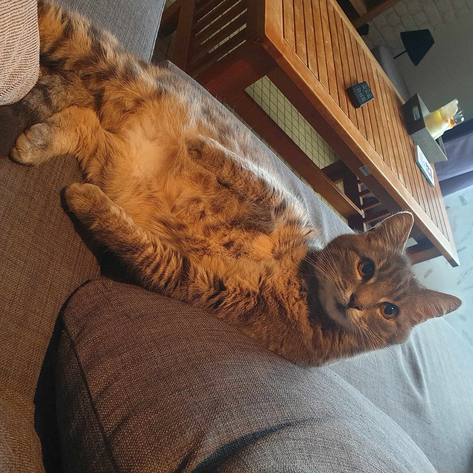 Kisu