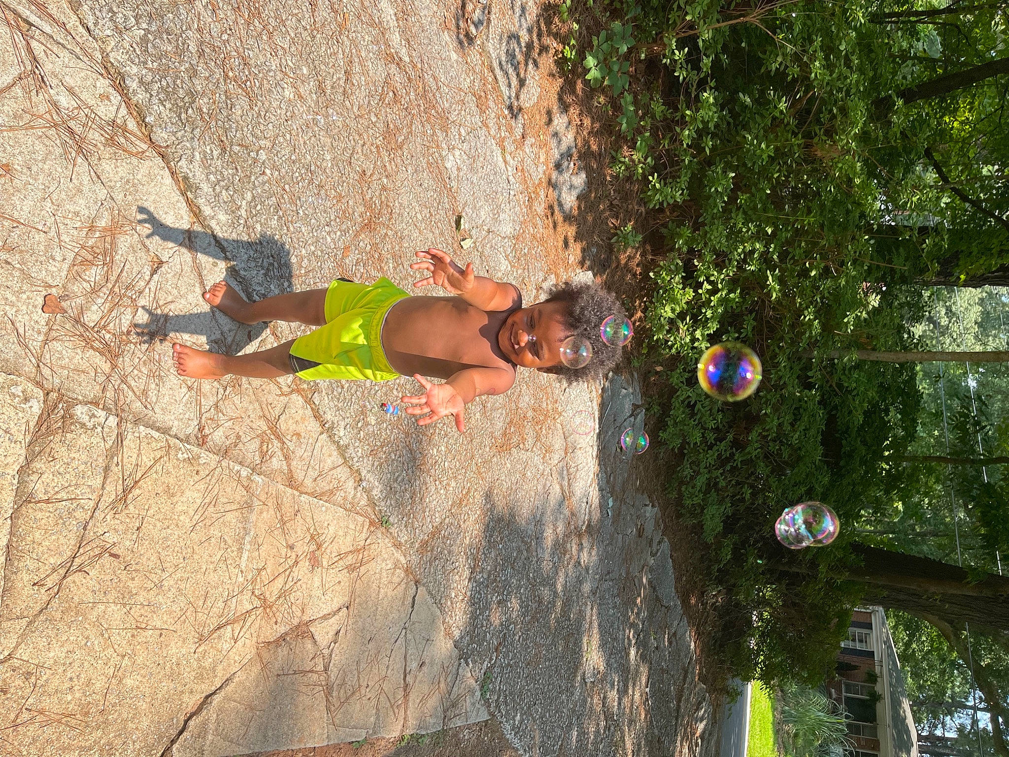 Kyng is registered to the contest to win money with this photo: adventure, fun, grass, joy, landscape, leisure, organism, people_in_nature, person, plant, recreation, rock, rock_climbing_equipment, shadow, sidewalk, slope, soil, sport_climbing, tree, trunk