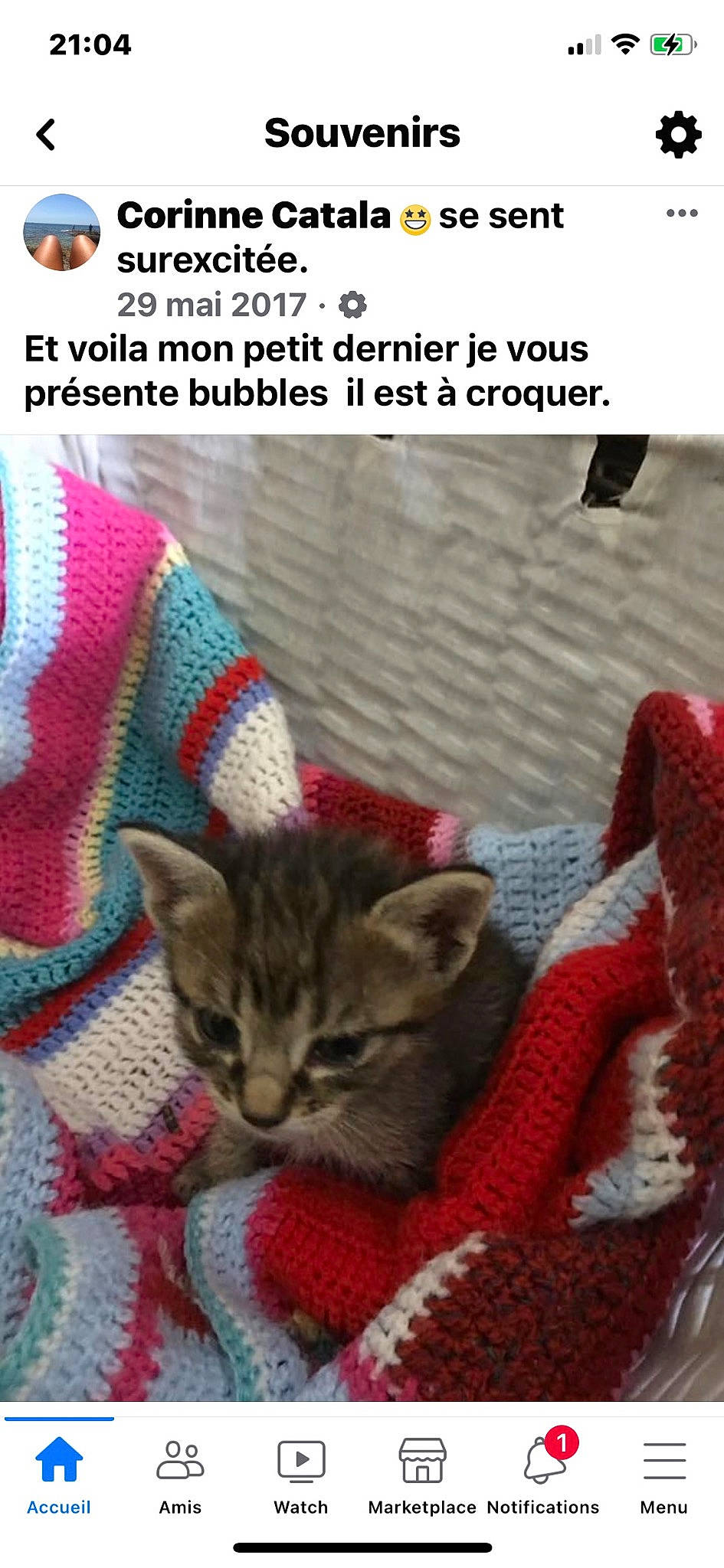 Bubbles participe au concours pour gagner de l'argent avec cette photo : carnivore, cat, cat_supply, comfort, domestic_short_haired_cat, felidae, font, fur, linens, pattern, paw, photo_caption, small_to_medium_sized_cats, tail, thread, vertebrate, whiskers, wool, woolen, woven_fabric