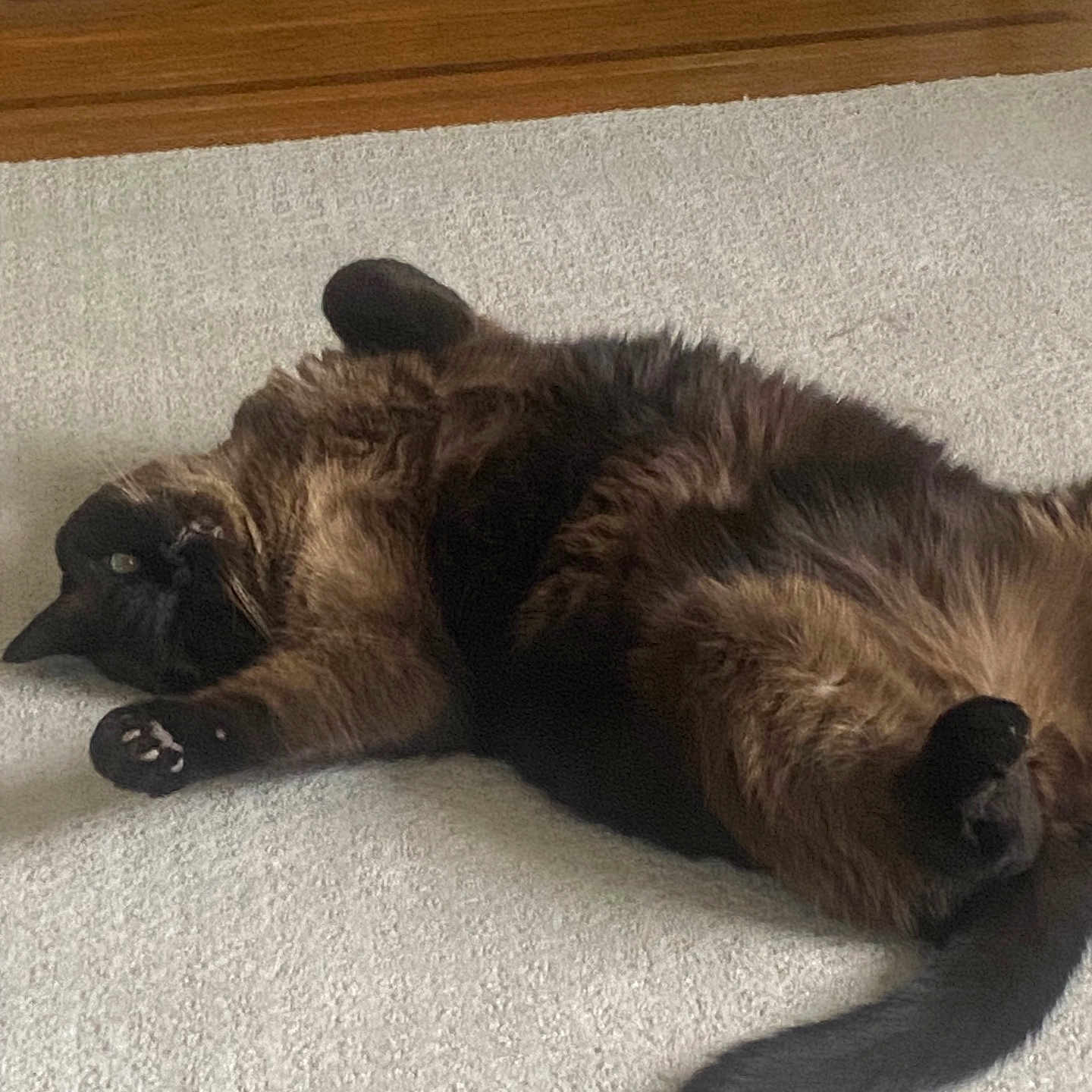 Greyson