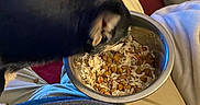 Greyson Reese joined the competition — help win amazing prizes! animal, black_dog, carpet, casual, clothing, comfort, dog, eating, food_bowl, home, indoor, lap, meal, pants, person, pet, plush_toy, relaxed, shirt, toy
