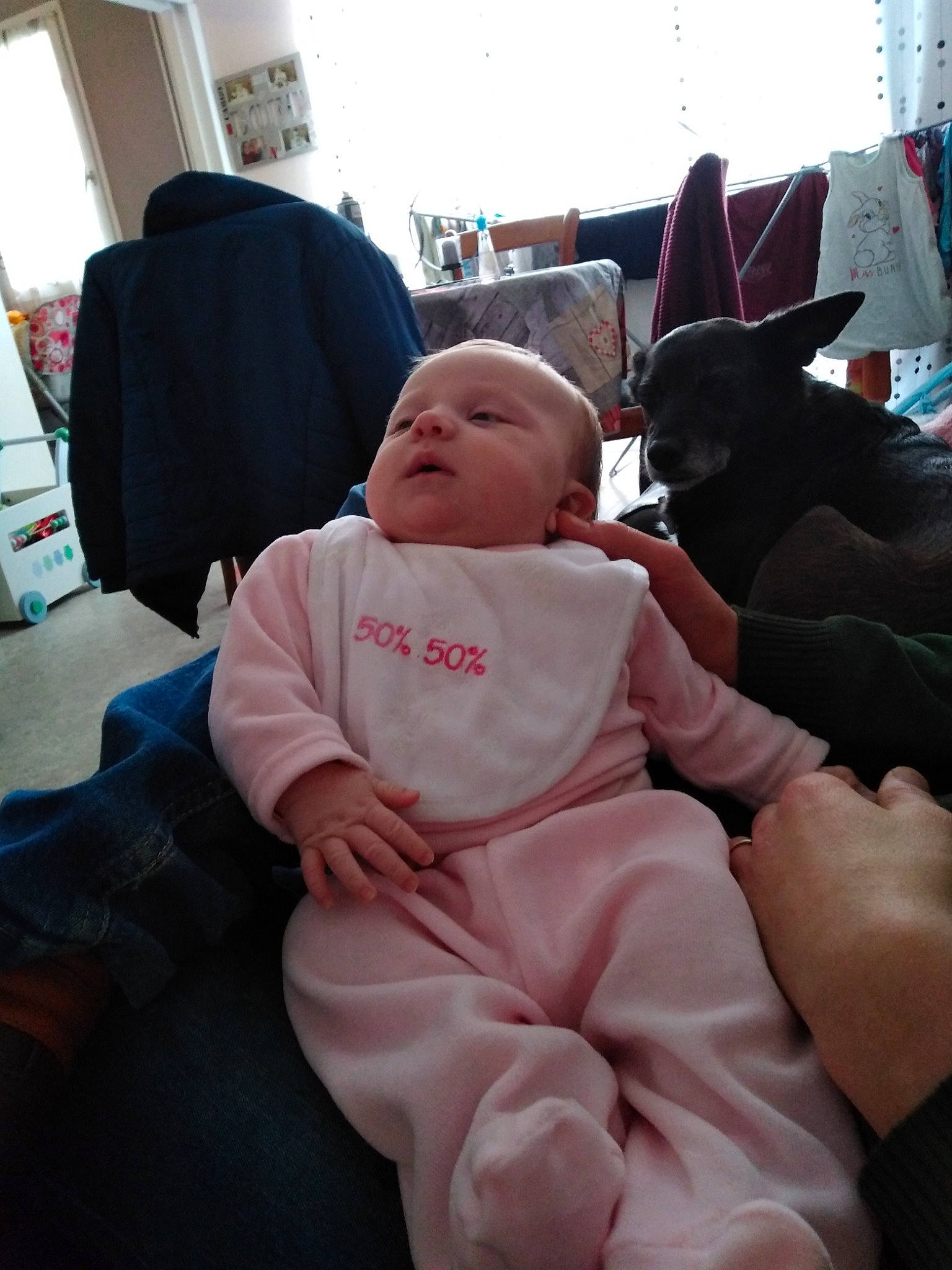 Ambre participe au concours pour gagner de l'argent avec cette photo : baby, cat, chair, child, comfort, ear, felidae, furniture, head, headwear, lap, person, sitting, skin, toddler