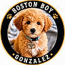 puppy, dog, curly_fur, collar, pet_tag, brown_fur, cute, portrait, animal, indoors, closeup, young_dog, fluffy, sitting, looking_at_camera, background_blur, circular_frame, black_border, gold_border, text_overlay