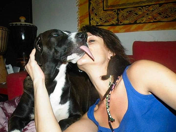 Oxyde participe au concours pour gagner de l'argent avec cette photo : black_hair, canidae, carnivore, dog, dog_breed, fawn, great_dane, guard_dog, non_sporting_group, sporting_group