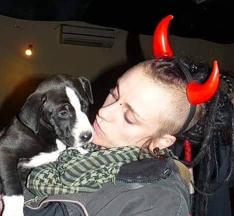 Oxyde a rejoint le concours — aidez-le/la à gagner de superbes lots ! canidae, carnivore, companion_dog, dog, dog_breed, ear, german_shorthaired_pointer, great_dane, guard_dog, non_sporting_group, nose, pointer, snout, sporting_group