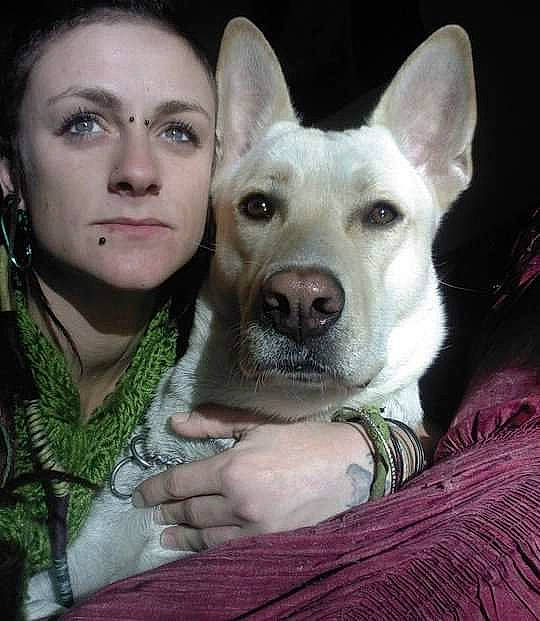 Ilana participe au concours pour gagner de l'argent avec cette photo : berger_blanc_suisse, canidae, carnivore, carolina_dog, companion_dog, dog, dog_breed, ear, head, korean_jindo_dog, mammal, non_sporting_group, nose, pariah_dog, snout, vertebrate, white_shepherd