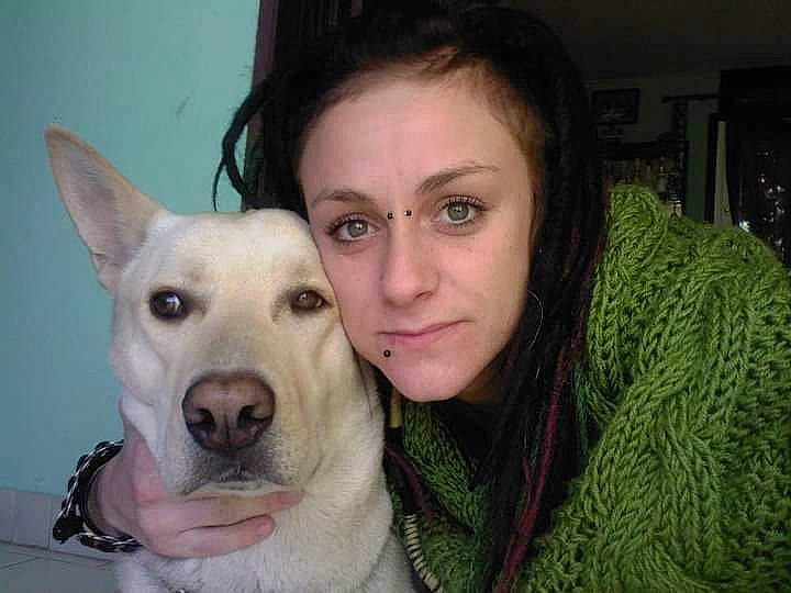 Ilana a rejoint le concours — aidez-le/la à gagner de superbes lots ! berger_blanc_suisse, canidae, carnivore, dog, dog_breed, ear, eye, eyebrow, head, korean_jindo_dog, labrador_husky, mammal, mouth, nose, organ, skin, smile, snout, vertebrate, white_shepherd