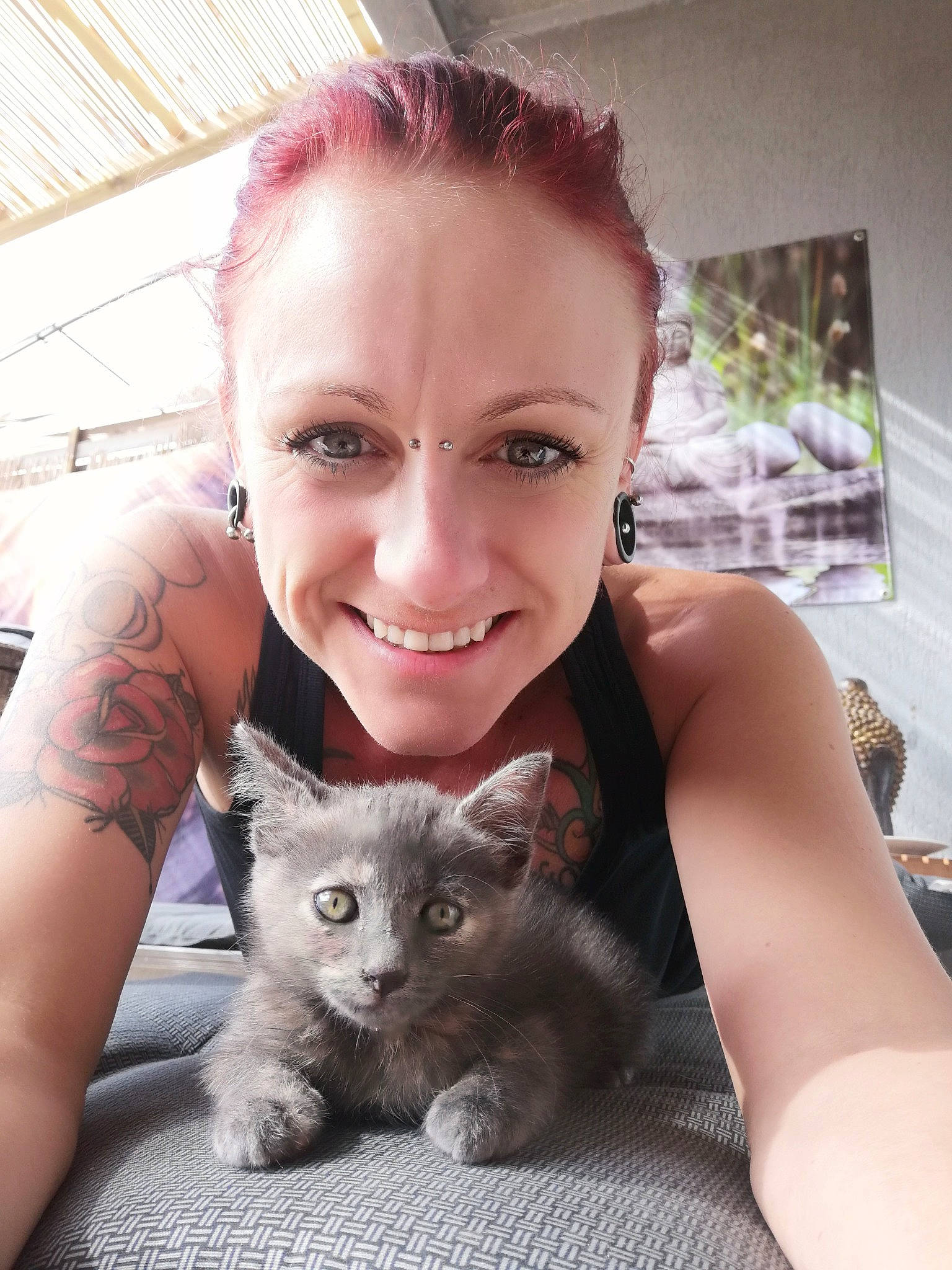 Jaya participe au concours pour gagner de l'argent avec cette photo : asian, british_semi_longhair, carnivore, cat, domestic_short_haired_cat, ear, european_shorthair, eye, face, felidae, forehead, fur, german_rex, iris, kitten, nebelung, skin, small_to_medium_sized_cats, tonkinese, whiskers