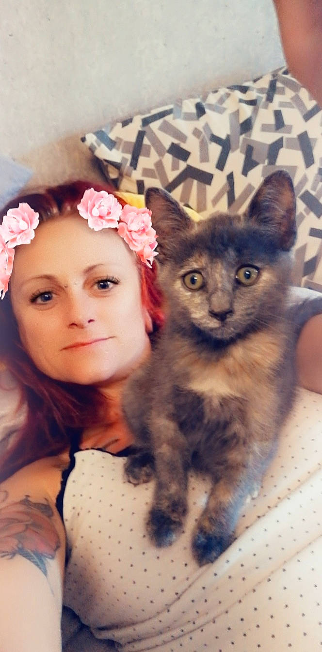 Jaya a rejoint le concours — aidez-le/la à gagner de superbes lots ! asian, carnivore, cat, cheek, ear, eye, fawn, felidae, fur, german_rex, hair, kitten, long_hair, nose, photography, skin, small_to_medium_sized_cats, whiskers