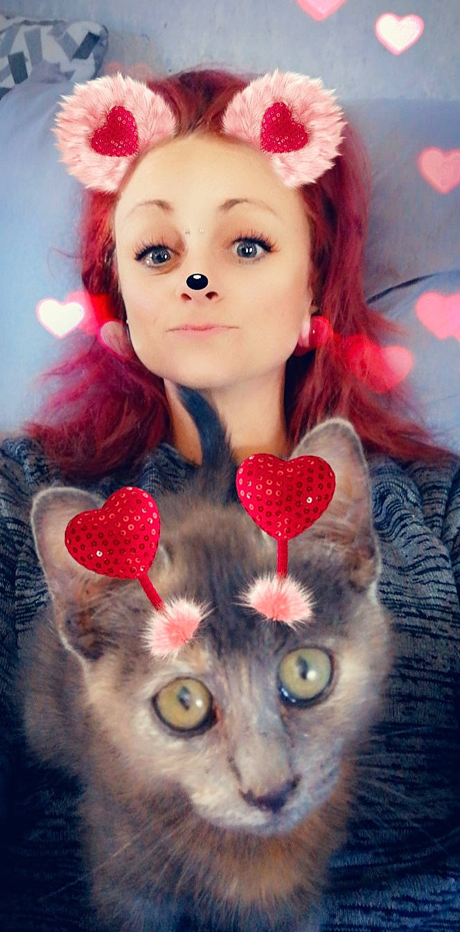 Jaya a rejoint le concours — aidez-le/la à gagner de superbes lots ! american_curl, carnivore, cat, ear, eye, fawn, felidae, fur, nose, organ, small_to_medium_sized_cats, whiskers