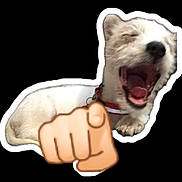 Tobías Maximiliano is registered to the contest to win money with this photo: animal, black_background, canine, collar, cute, digital_edit, dog, domestic_animal, emoji, funny, gesture, isolated, mammal, open_mouth, pet, playful, pointing_finger_emoji, white_dog, white_outline, yawning