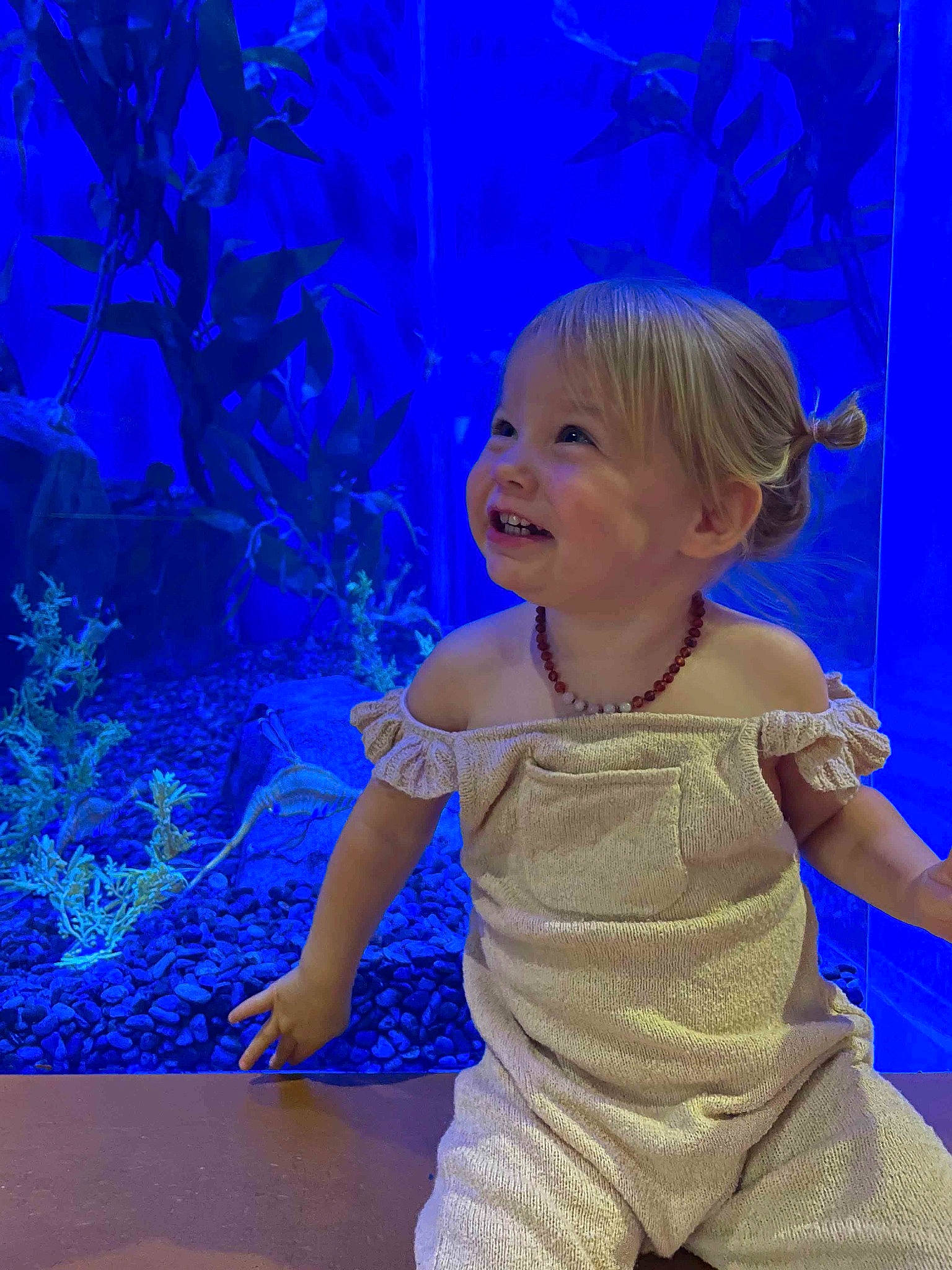 Alyssa joined the competition — help win amazing prizes! baby_toddler_clothing, blue, child, child_model, electric_blue, entertainment, event, fashion_design, flooring, fun, happy, joy, leisure, people_in_nature, performance, performing_arts, person, plant, sitting, smile