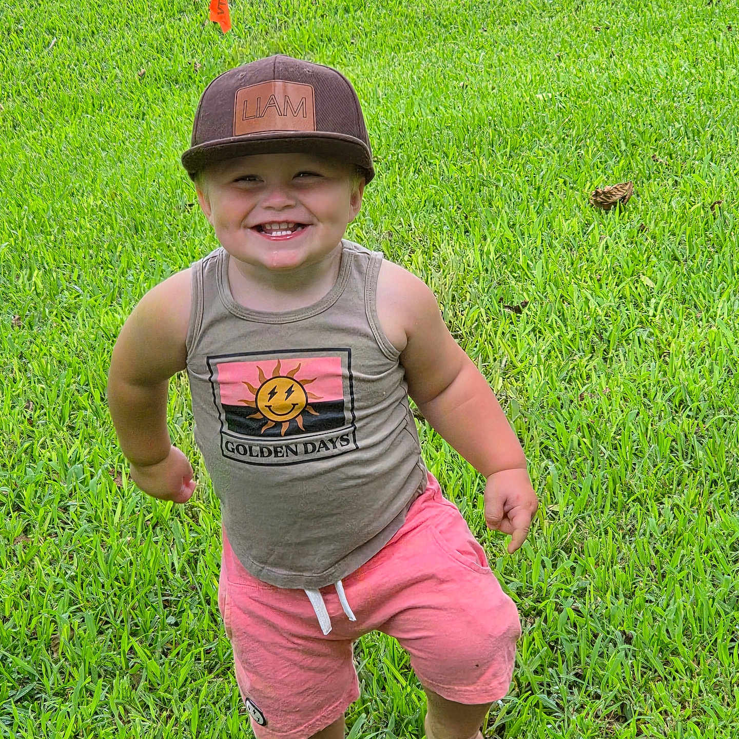 Liam is registered to the contest to win money with this photo: barefoot, boy, cap, casual_clothing, child, cute, grass, greenery, happy, joyful, outdoor, playful, portrait, shorts, smiling, standing, summer, sunny, tank_top, toddler