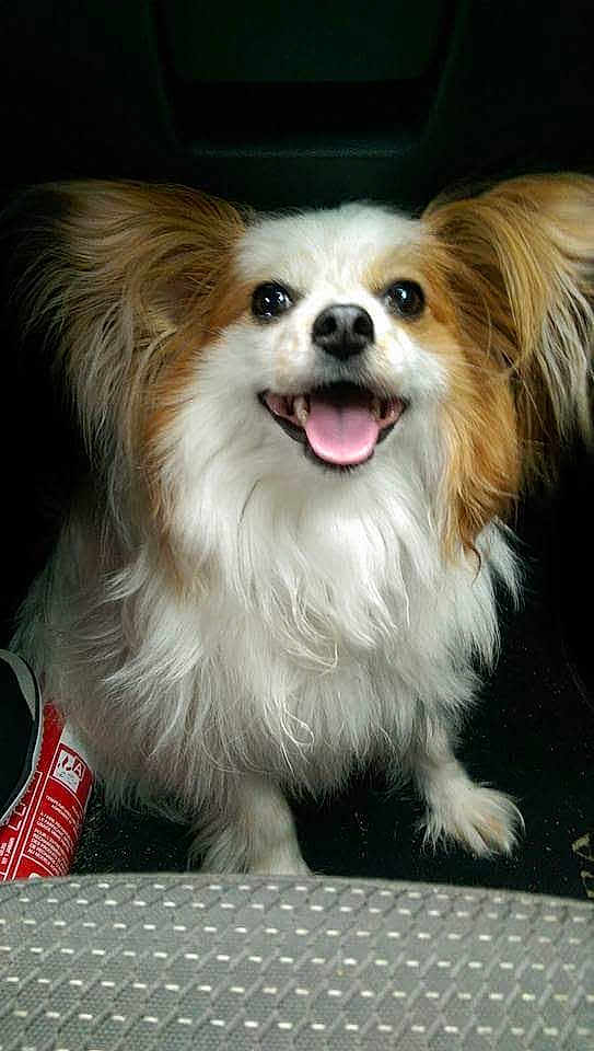 Tyson