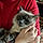 Oliver