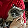 Oliver