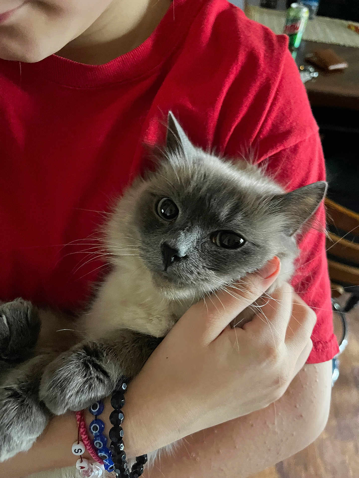 Oliver