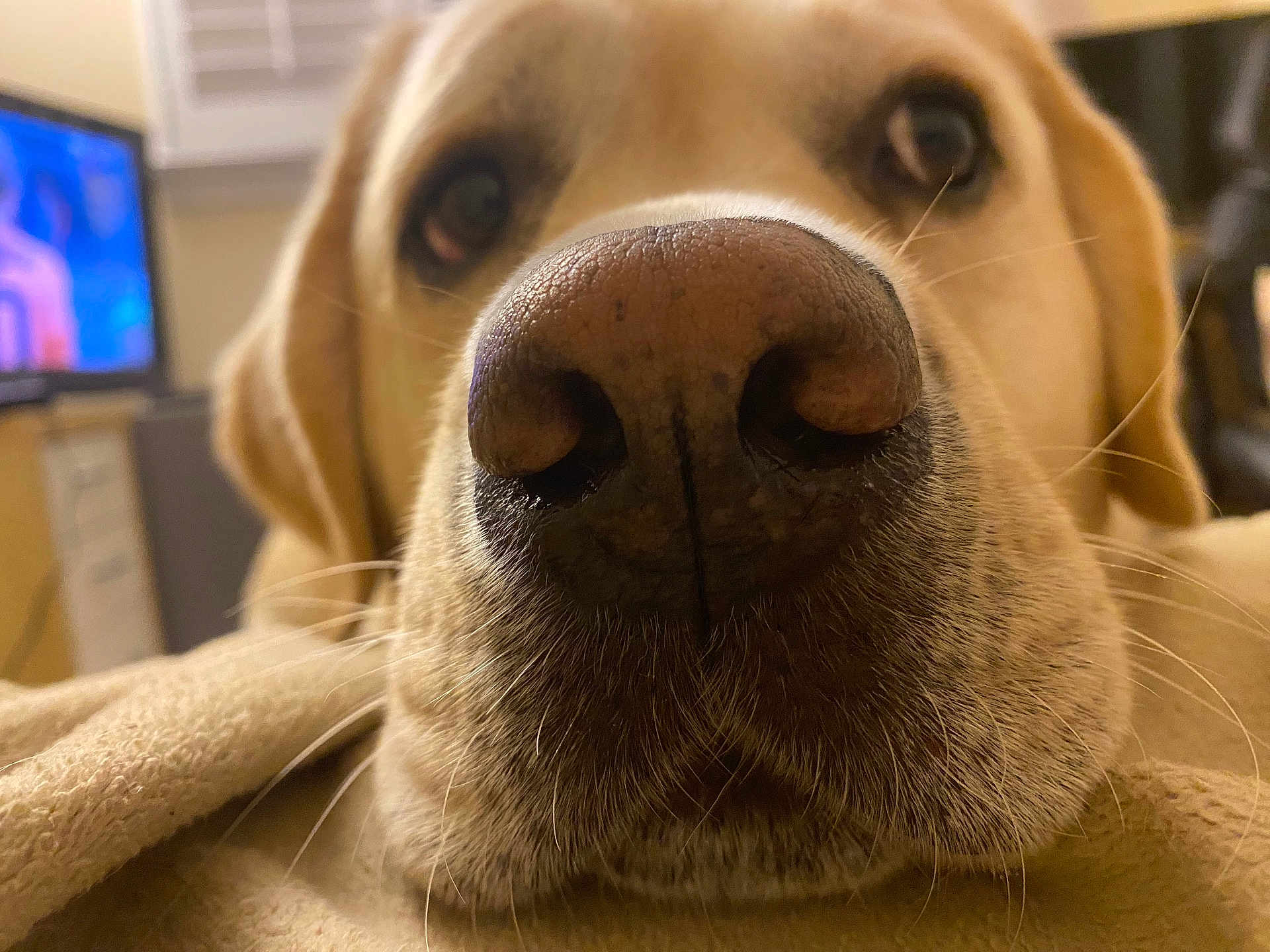 Cooper