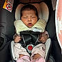 Leilani Levina joined the competition — help win amazing prizes! baby, infant, car_seat, sleeping, seat_belt, harness, pink_socks, onesie, blanket, head_support, buckle, safety_label, newborn, closeup, cozy, child, rear_facing, infant_carrier, adorable, hands