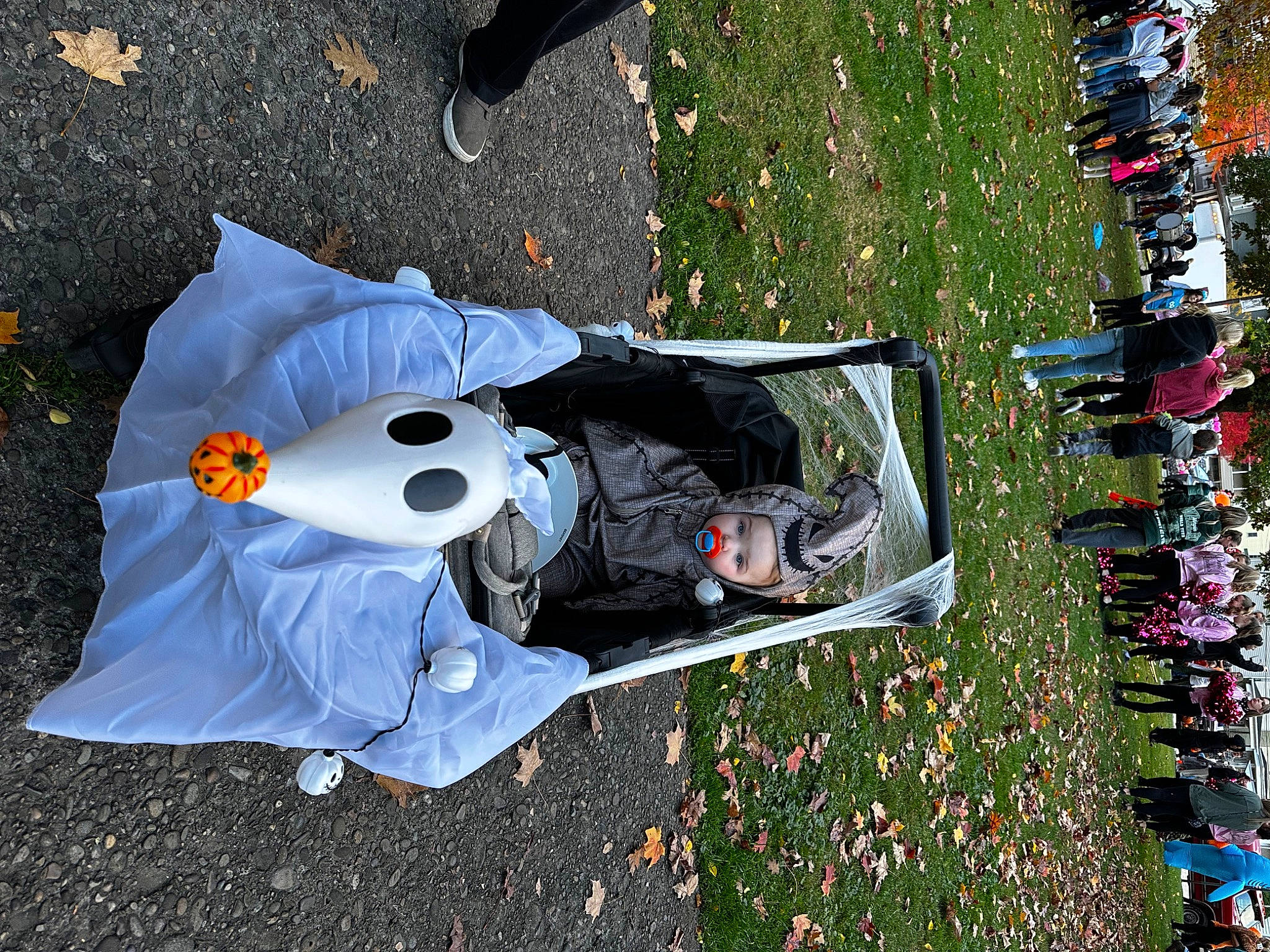 Malakai joined the competition — help win amazing prizes! asphalt, carmine, fun, grass, hat, headwear, leisure, litter, people_in_nature, person, personal_protective_equipment, plant, road_surface, soil, tree