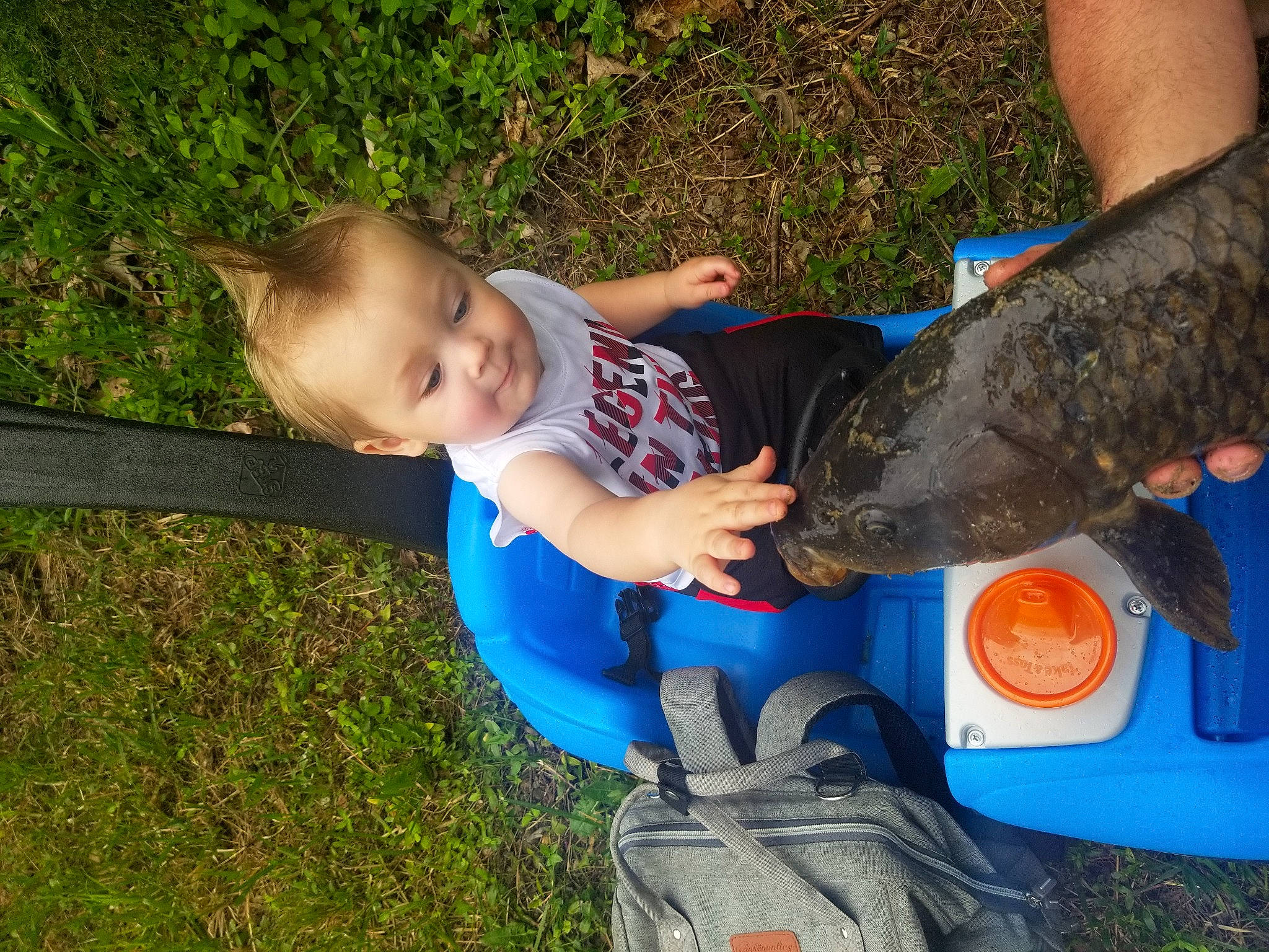 Rogan is registered to the contest to win money with this photo: child, person, play, toddler