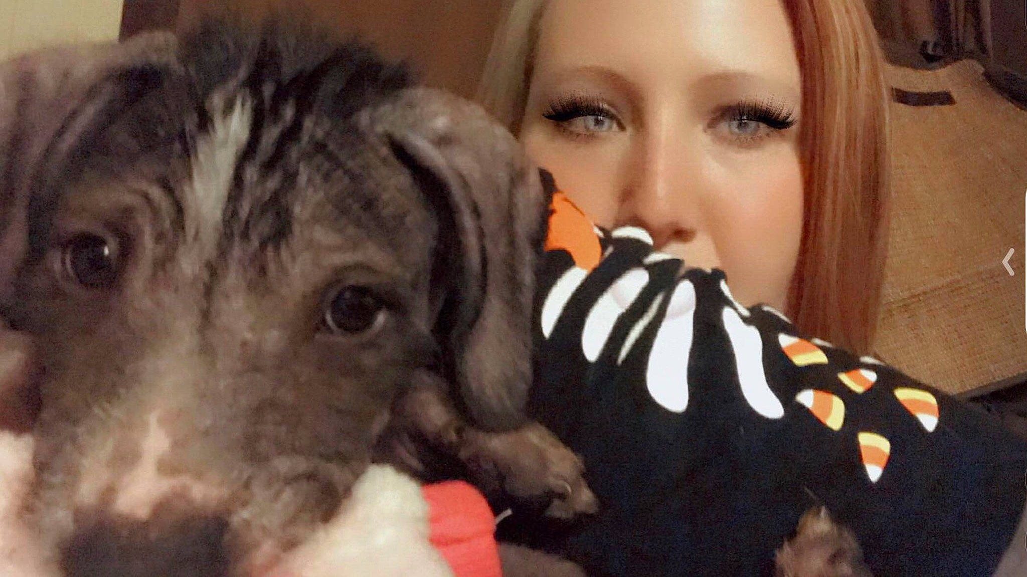 Dante joined the competition — help win amazing prizes! canidae, carnivore, companion_dog, dog, dog_breed, ear, eye, eyelash, fawn, fur, gesture, happy, head, jaw, nose, selfie, sporting_group, street_fashion, whiskers, working_animal