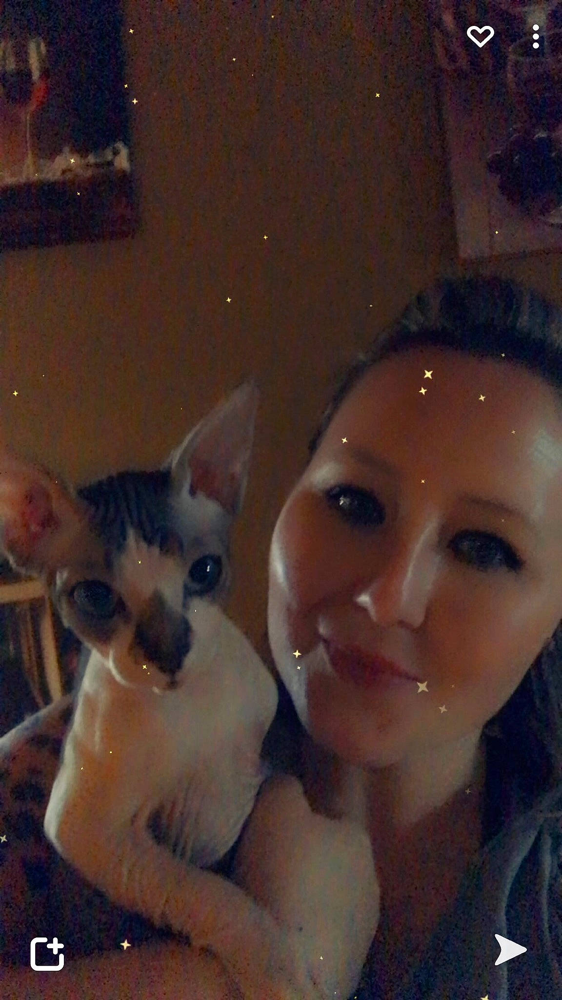 Igor is registered to the contest to win money with this photo: carnivore, chihuahua, companion_dog, dog, dog_breed, ear, eyelash, fawn, felidae, fun, fur, happy, iris, jaw, nose, selfie, small_to_medium_sized_cats, snout, toy_dog, whiskers