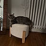 cat, gray_cat, furniture, stool, wooden_floor, mirror, radiator, indoor, pet, animal, curious, resting, cozy, home, floor, plush, looking, domestic, quiet, calm