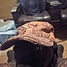 dog, black_dog, hat, camo_hat, close_up, indoor, leather_chair, furniture, eye, pet, animal, curious, wearing, brown, black, seat, floor, background, domestic, cozy