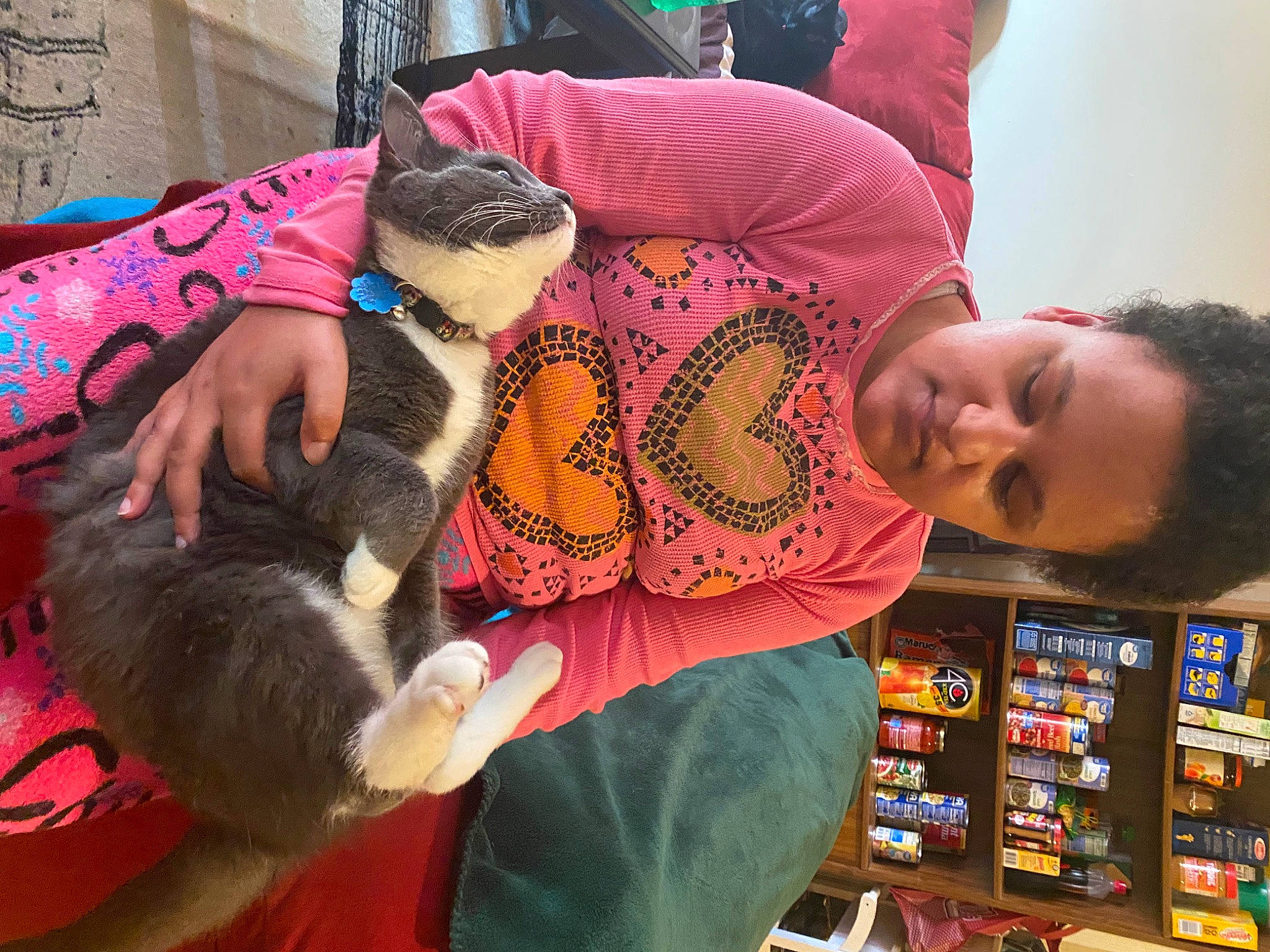 Bonkers joined the competition — help win amazing prizes! cat, child, comfort, companion_dog, ear, fawn, felidae, fun, fur, lap, leisure, magenta, pattern, play, publication, reading, sitting, small_to_medium_sized_cats, toy, whiskers