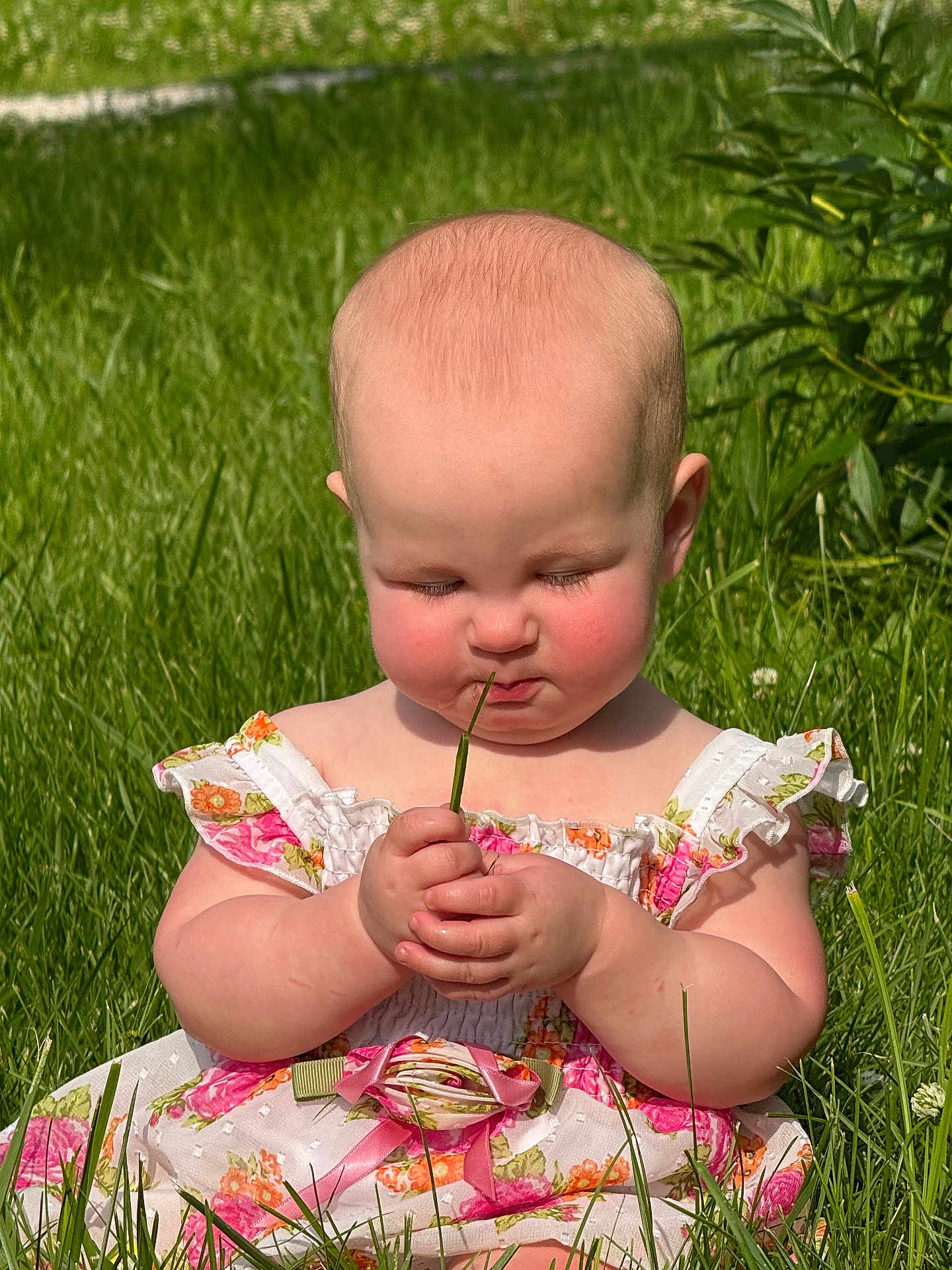 Charlie is registered to the contest to win money with this photo: baby, child, grass, outdoor, flower_dress, nature, greenery, cute, summer, sunlight, skin, hands, face, expression, sitting, plant, flora, garden, infant, daytime