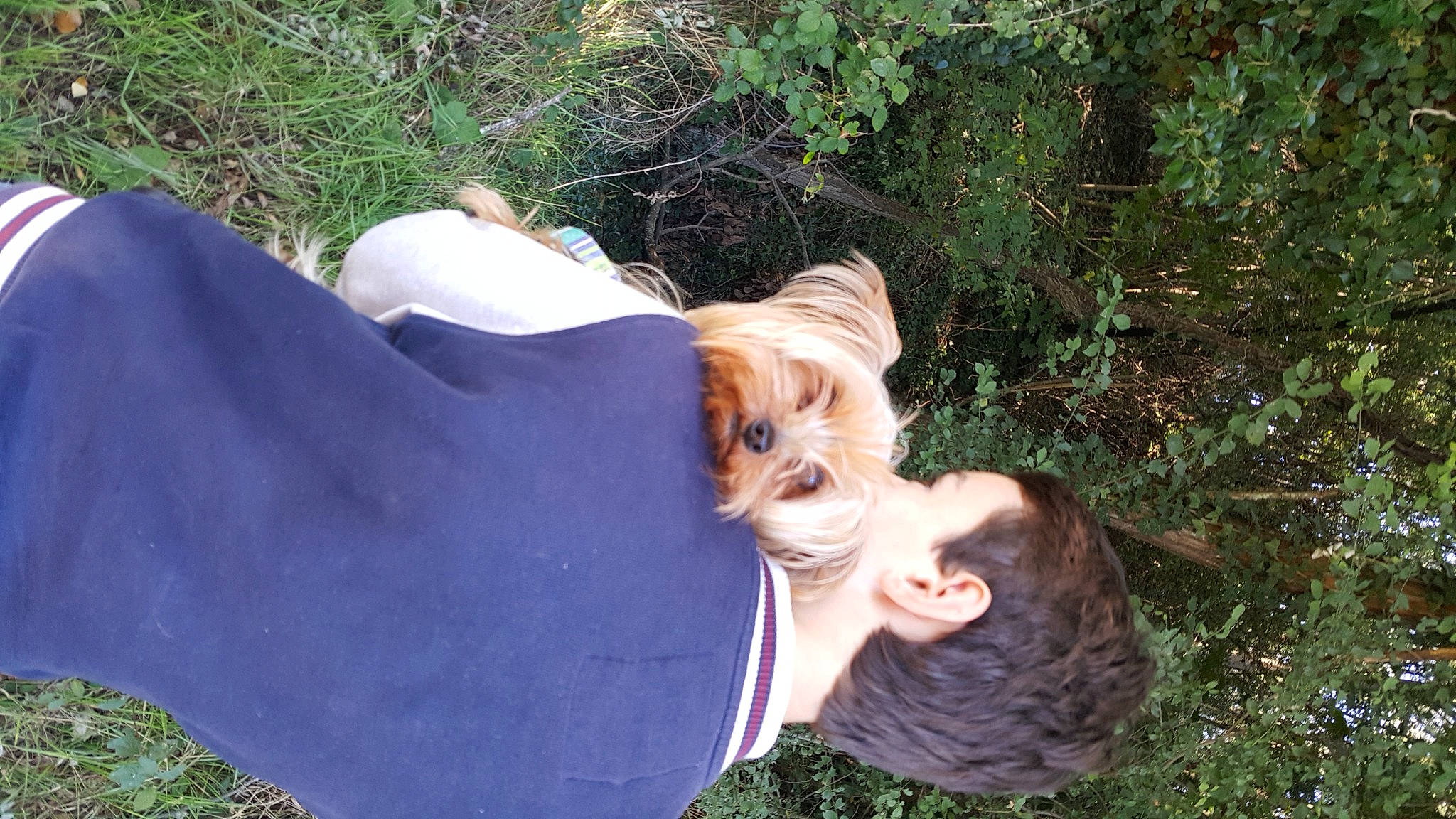 Rudy participe au concours pour gagner de l'argent avec cette photo : botany, canidae, carnivore, companion_dog, dog, dog_breed, fawn, fun, fur, gesture, grass, grass_family, happy, leisure, people_in_nature, plant, sporting_group, sunglasses, tree, wildlife